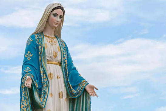 “മാതാവ് സഹരക്ഷകയല്ല! “തിരുത്തപ്പെടാത്ത കത്തോലിക്ക പ്രബോധനം