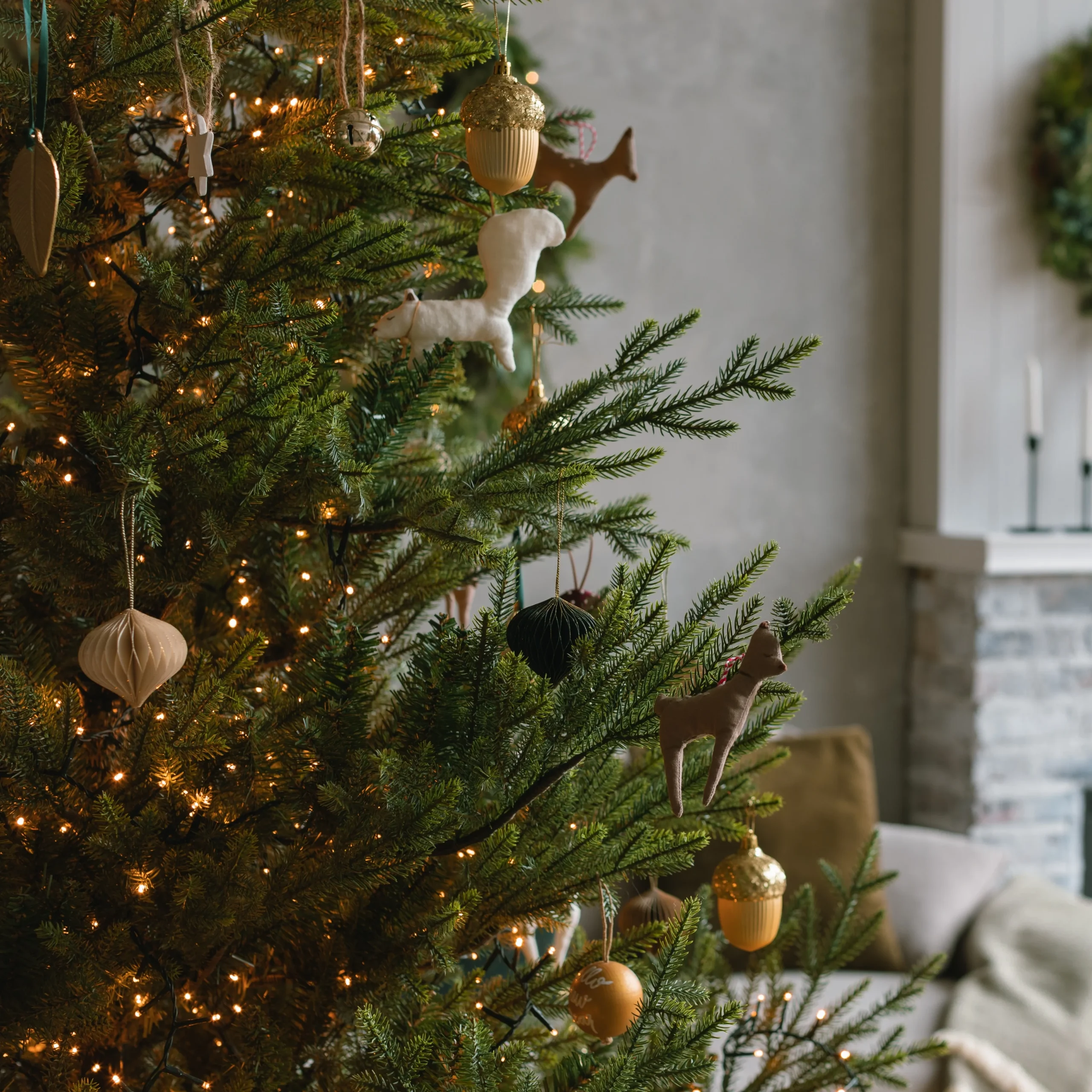 ജീവജാലങ്ങളുടെ തിരുജനനപ്പാട്ട്