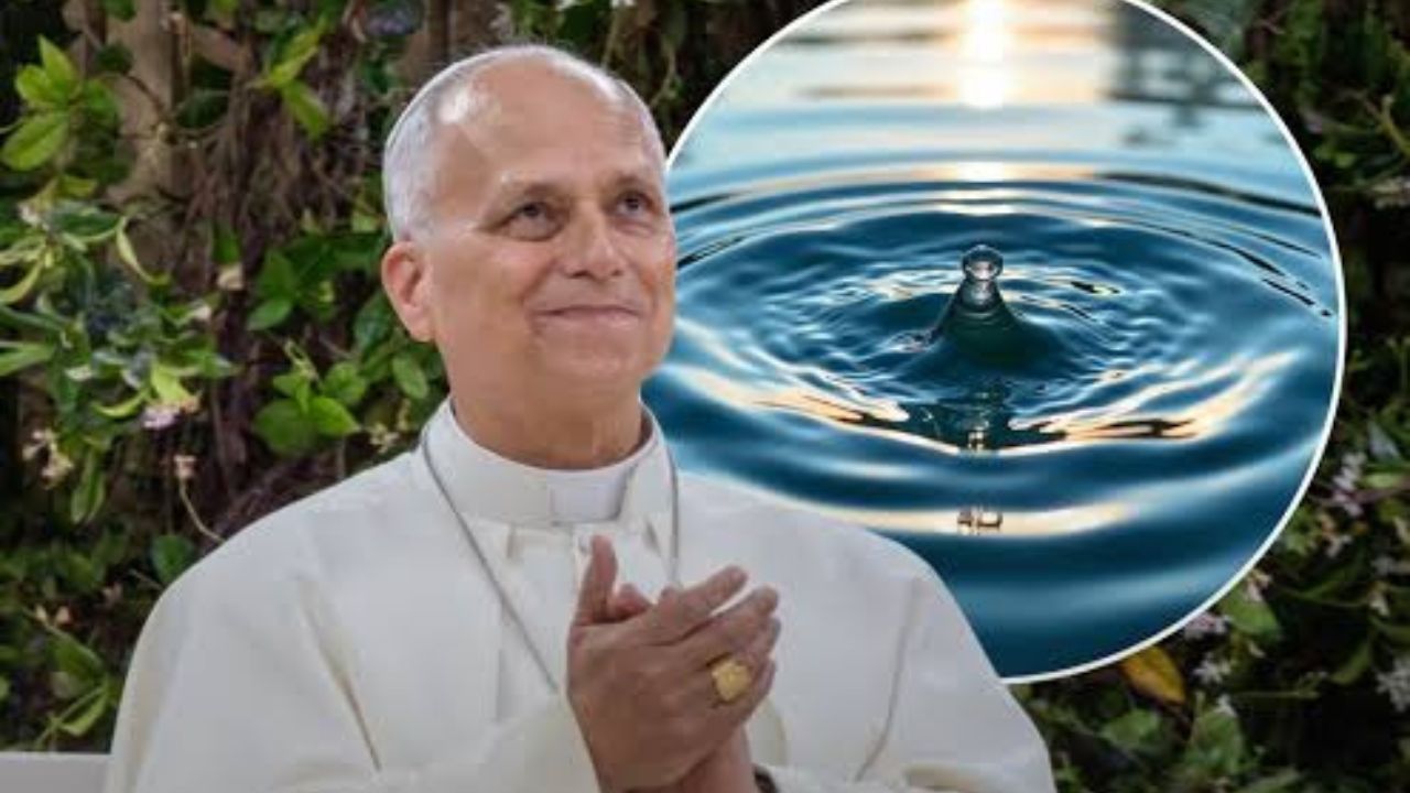 ജലസംരക്ഷണം സ്രഷ്ടാവിനോടുള്ള സ്നേഹത്തിന്റെ പ്രകടനം: പാപ്പ