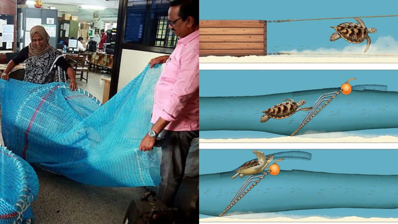 ടെഡ് വല രക്ഷിക്കുമോ മത്സ്യമേഖലയെ?